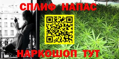 прущие грибы Бузулук