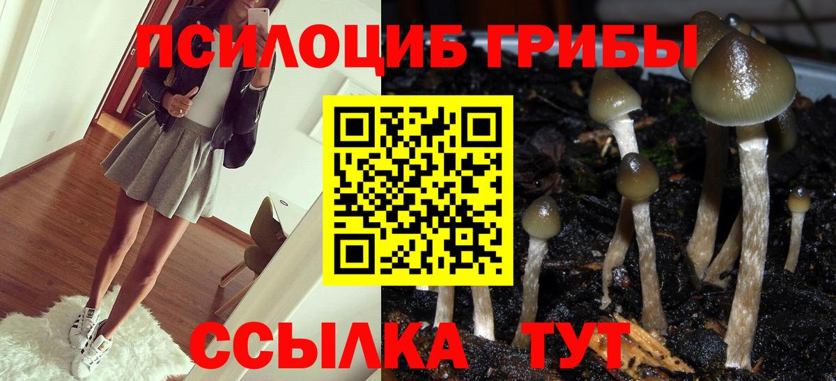 Псилоцибиновые грибы Magic Shrooms  Вход с VPN  Сокол 