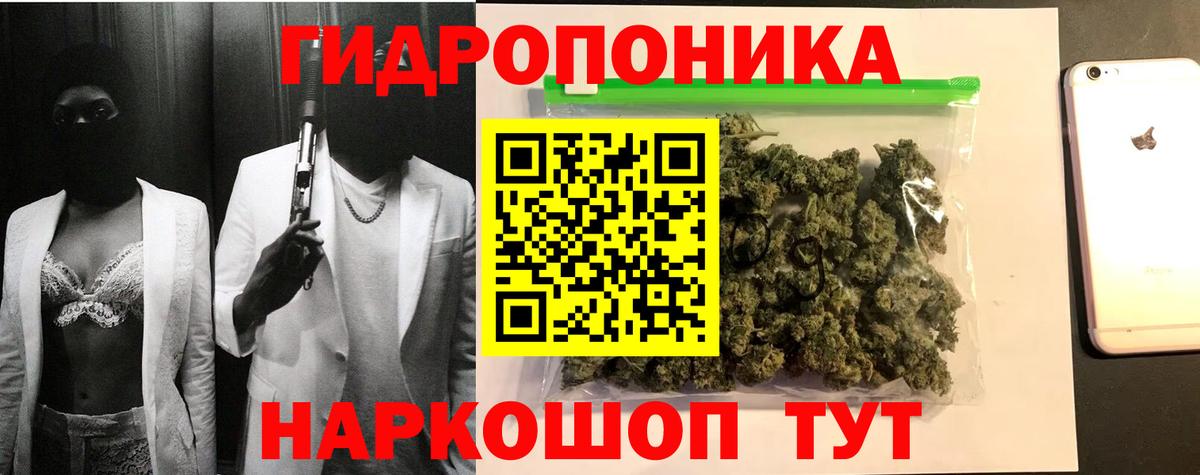 Бошки Шишки планчик  МАРИХУАНА Ganja  Вход с VPN  Сокол 